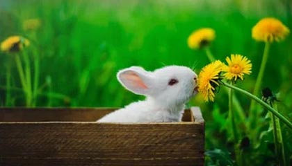 傅亚雨:从谷底向上攀爬的新中超